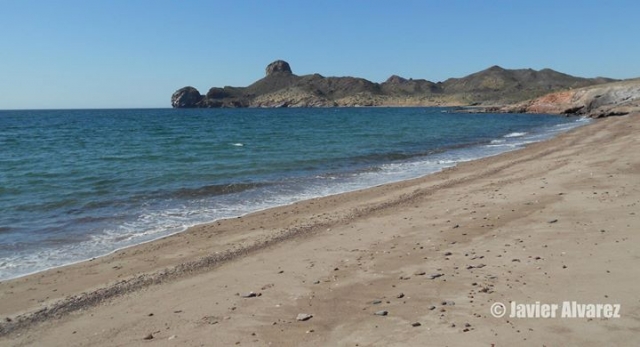 Disfruta del paseo